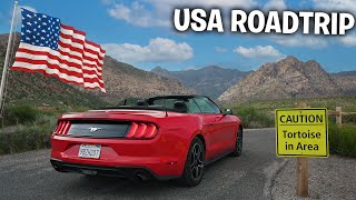 Hyr en MUSTANG och kör roadtrip i Las Vegas  USA del 2 [upl. by Farleigh]