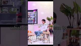 What does sana means to dex kim jin young Dexs Fridge Interview sana with eng sub dex101 sana [upl. by Laurianne908]