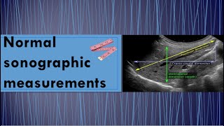 Normal ultrasound measurements [upl. by Ellebasi681]