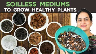 Mediums to Grow Plants without soil  10 soilless Mediums you can use  Growing Mediums explained [upl. by Dan]