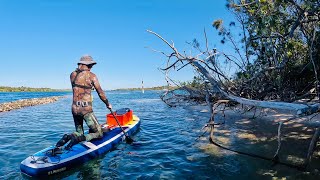 Coastal Foraging Off The SUP  Whiting CATCH amp COOK [upl. by Engud488]