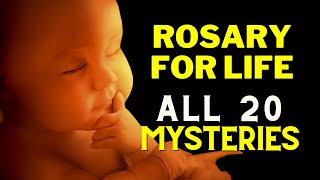 Rosary for Life  ProLife Rosary  All 20 Mysteries of Holy Rosary [upl. by Lanevuj]