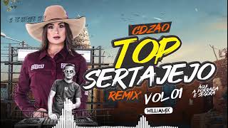 TOP SERTANEJO REMIX 2024  AS MAIS TOCADAS  🎵 MUSICAS PRA PAREDÃO BY  WilliaMix [upl. by Oidiple]