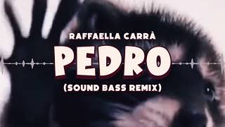 Raffaella Carrà  PEDRO tik tok hit SOUND BASS Remix pedro trendingmusic soundbass [upl. by Dougy194]