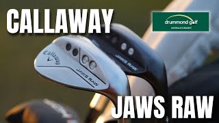 NEW Callaway Jaws Raw Wedge Family [upl. by Anisirhc751]