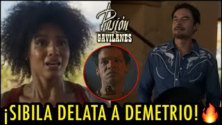 PASIÓN DE GAVILANES 2  CAPÍTULO 62  ¡SIBILA DELATA A DEMETRIO🔥 SEGUNDA TEMPORADA [upl. by Anali]