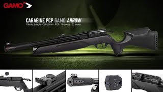 Carbine GAMO ARROW PCP Short Review [upl. by Neelhtakyram]