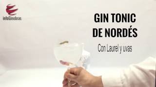 Gin tonic de ginebra Nordés con uvas y laurel [upl. by Adelric]