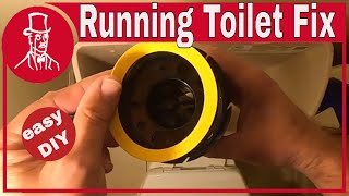 Easy Fix For The Most Common Toilet Water Leak [upl. by Rambow]