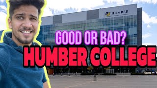 2 weeks at Humber College  Good or Bad  Vlog 10 [upl. by Benilda]