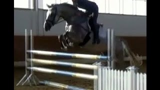 wwwsporthorsesonlinecom 2010 Hanoverian Hunter  Jumper gelding [upl. by Blanc]