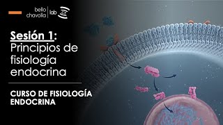 Principios de fisiología endocrina [upl. by Jackquelin508]