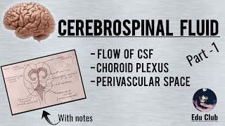 Cerebrospinal Fluid  Part 1 [upl. by Sarazen]