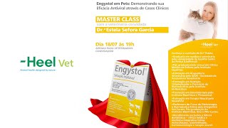 Engystol em Pets Demonstrando sua Eficácia Antiviral através de Casos Clínicos [upl. by Whiffen]