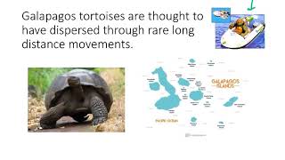 BIO178 Week 4 Phylogeography Dispersal v Vicariance [upl. by Ahsino]