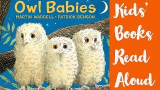 Owl Babies  Books for Toddlers Read Aloud [upl. by Aneis]