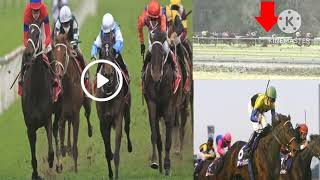 Lachlan Scorse horse racing fall video  Manning Valley Race Club Taree racetrack horor fall [upl. by Hamlani250]