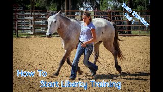 How To Start Liberty Training With Your Horse Basic Exercises Part 1 [upl. by Ballou686]