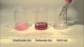 phenolphthalein indicator with carbonate solution and Bicarbonate Solution [upl. by Alaecim]