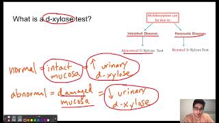 DXylose test [upl. by Hallock]