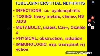 TubuloInterstitial amp Vascular Renal Diseases [upl. by Ymmas885]