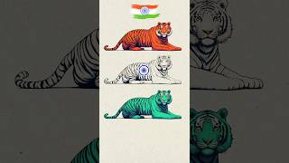 Tiger 🐯 Artwork 🇮🇳 Tricolour tiger art 🎨 Indian Flag art and craft art craft shorts [upl. by Annelg]