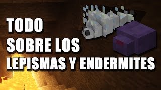 Todo sobre los Lepismas y Endermites  Minecraft en Español [upl. by Clarissa]