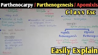 Parthenocarpy  Apomixis  Parthenogenesis  Seed Dormancy  Class 12 Biology [upl. by Niassuh264]