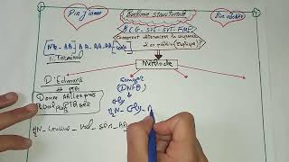 🙇 biochimie structurale  détermination de la séquence dun peptide [upl. by Koal]