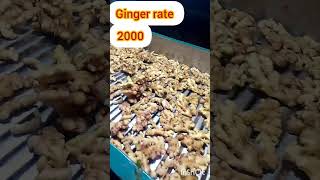 today Ginger price 2000 farming maisur automobile gingerfarming [upl. by Virg]