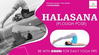 How to Do Halasana Yoga Plow Pose Steps amp Benefits [upl. by Kurys]