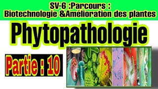 phytopathologie Partie 10  les interactions plantespathogènes [upl. by Etnuahc]