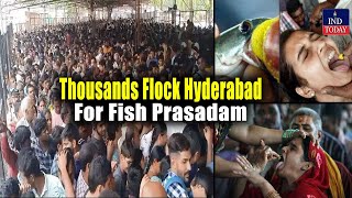 Thousands Flock Hyderabad For Fish Prasadam  IND Today [upl. by Aiceila]