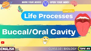 What is Buccal Cavity  English  Class 10  Science  Biology  Chapter 1  Life Processes [upl. by Oilejor156]