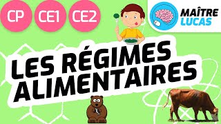 Les régimes alimentaires CE1  CP  CE2  Cycle 2  Questionner le monde  Le monde du vivant [upl. by Schechter145]