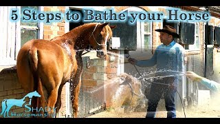 Five Steps to Bathe your Horse [upl. by Sokram]