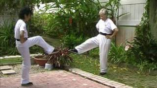 Taiji Qigong 10 Movements [upl. by Schuster]