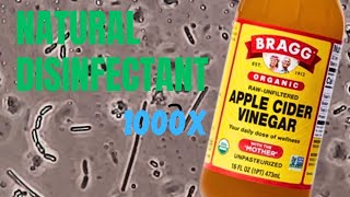 Vinegar vs Bacteria under the Microscope  The Ultimate Cleaning Product [upl. by Spindell472]