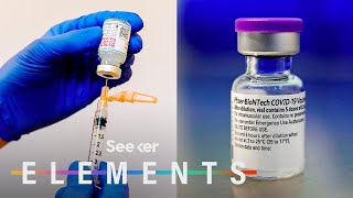 What’s In the Pfizer amp Moderna COVID Vaccines [upl. by Jeggar]