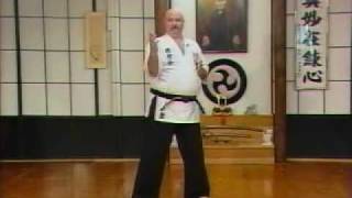 GojuRyu Karate  Frank Van Lenten  1994 [upl. by Timotheus]