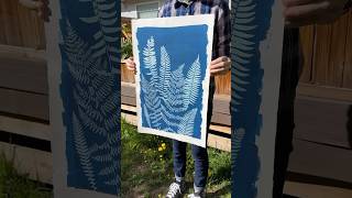 Making a big cyanotype with ferns from my yard 💦 [upl. by Nnylak]