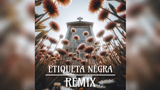 Patricio Rey Y Sus Redonditos de Ricota  Etiqueta Negra Remix [upl. by Nelan]