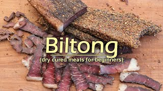 Biltong for Beginners Easy to Follow Recipe [upl. by Nylinej]