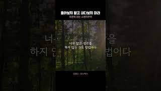 행복이라는 환상 마흔에읽는쇼펜하우어 [upl. by Nelram]