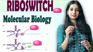 Riboswitch I Regulation of Transcription and Translation II Molecular Biology [upl. by Eachelle]