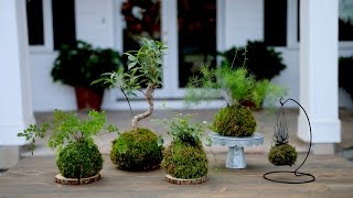 How to Make Kokedama Full Version  Garden Answer [upl. by Yekcaj826]