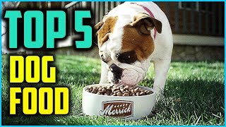 ✅ 5 Best Dog Food for Border Collies of 2024 [upl. by Levan631]