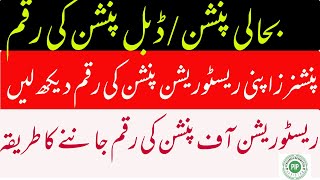 Money after Restoration of Pension  ریسٹوریشن آف پنشن پر کتنی رقم  Method to know Money of Pension [upl. by Addy]