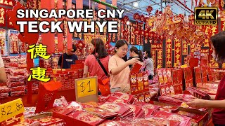 Singapore Chinese New Year 2024  Teck Whye  CNY Heartlands Tour [upl. by Birck]