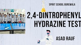 24 dintrophenyl hydrazine test 24 DNPH test  identification of ketones  10th class practicals [upl. by Obeng217]